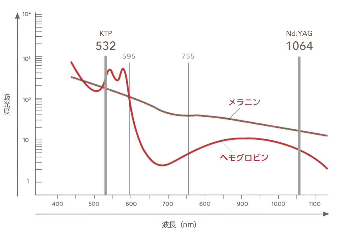 図:2つの波長(波長532nmと波長1064nm)