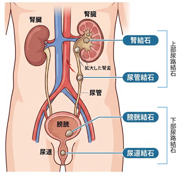 診療イメージ